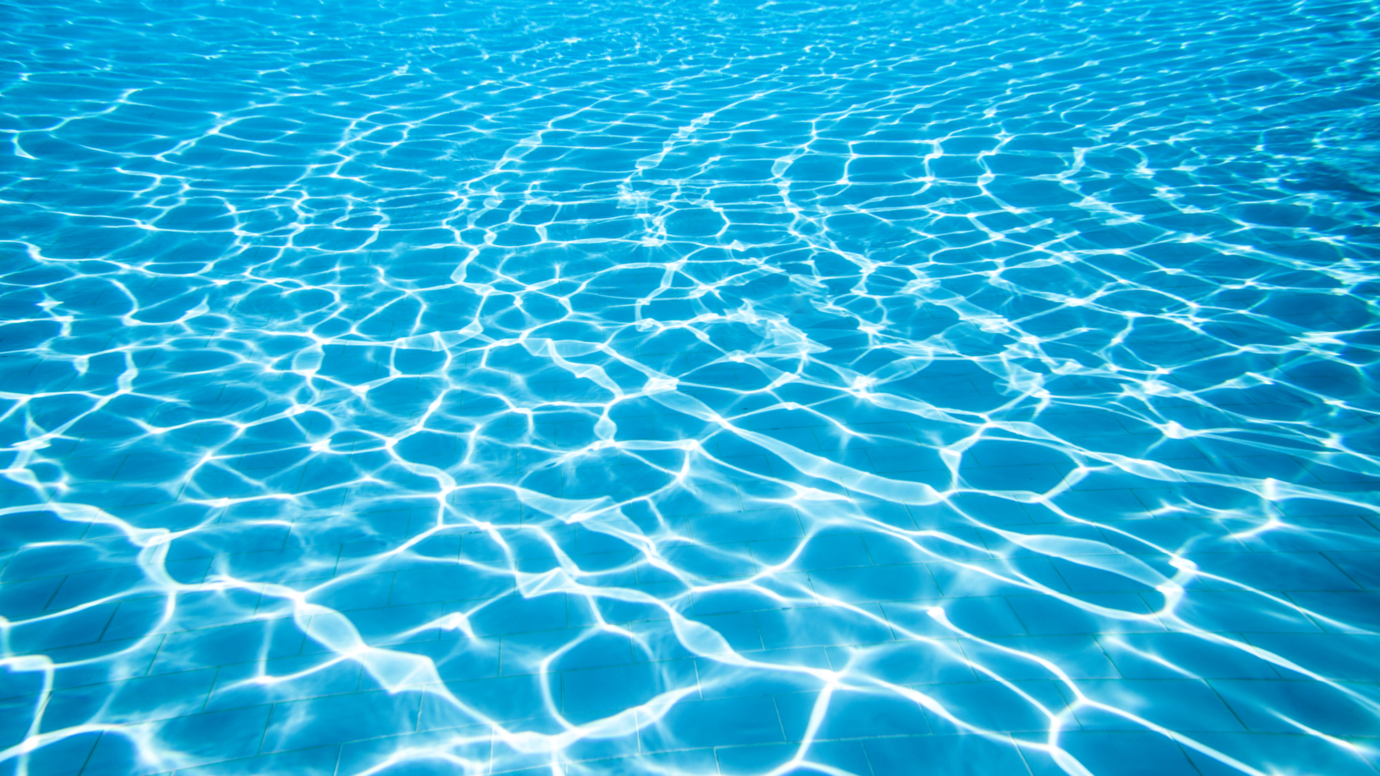 Photo of Water in a swimming