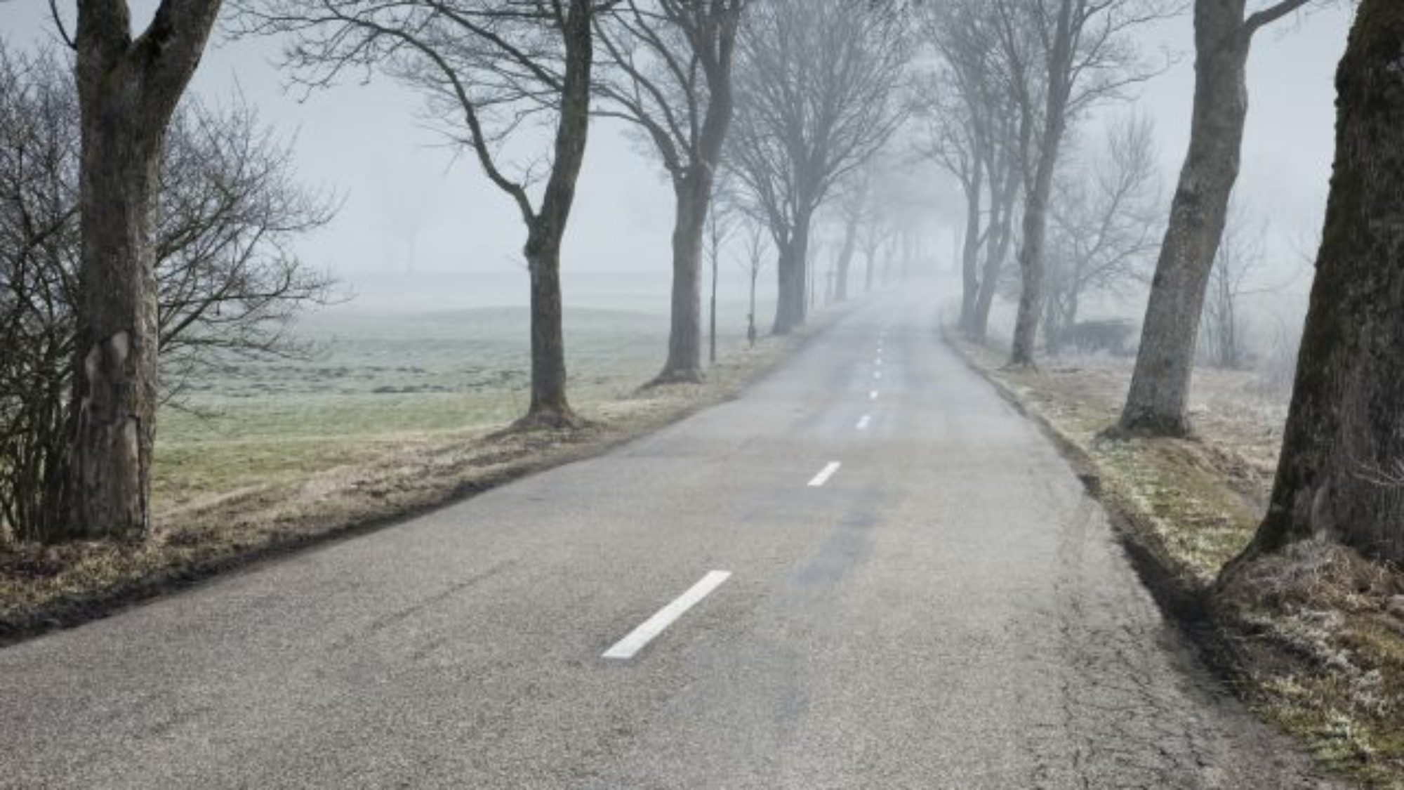 Straße-Nebel-Herbst