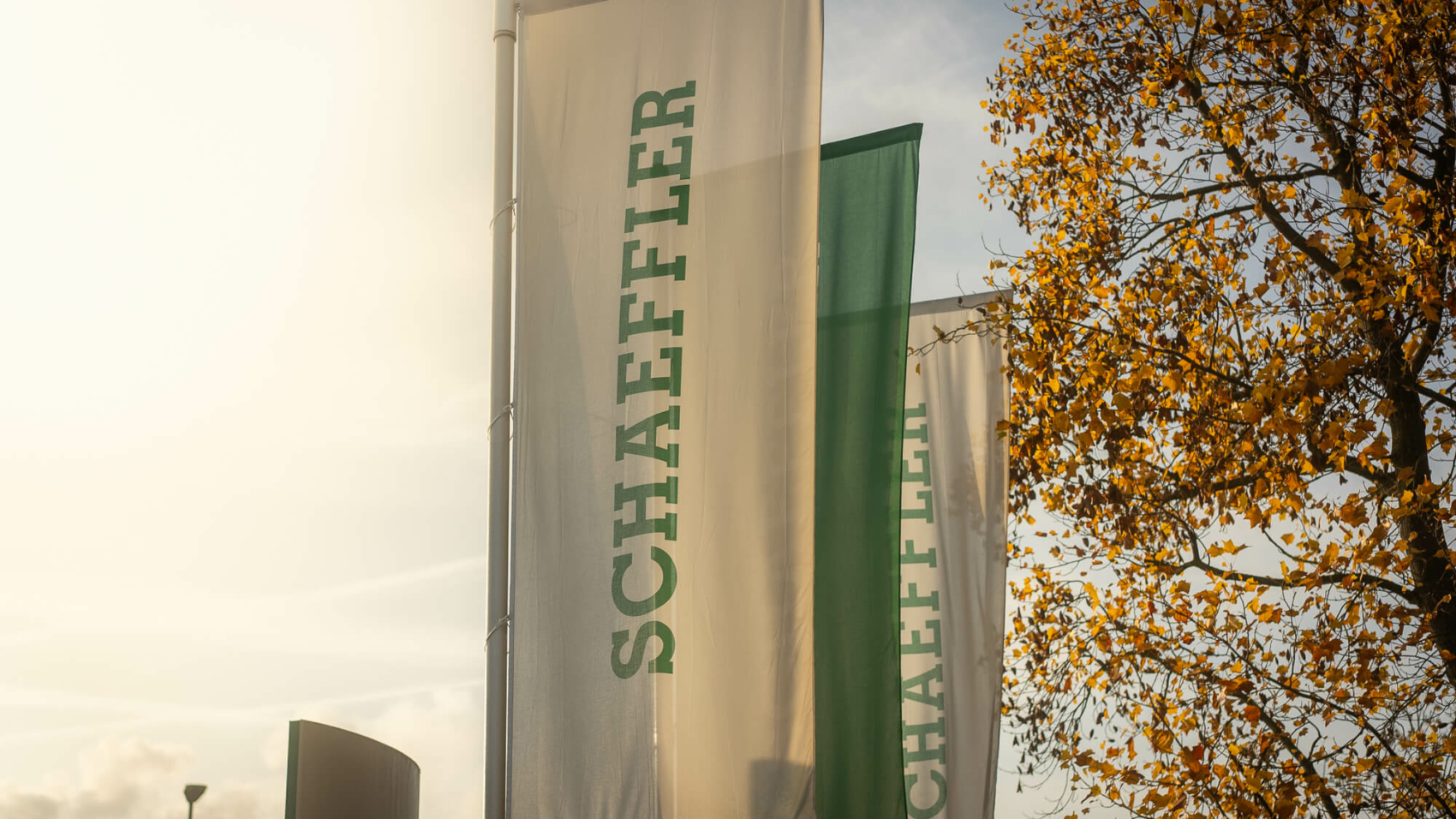 Schaeffler-3